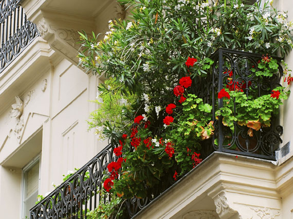 Pon tus balcones a punto de primavera (1 parte)